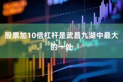 股票加10倍杠杆是武昌九湖中最大的一处